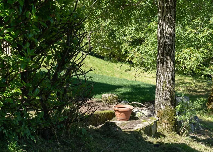 Nini's * スキニャーノ