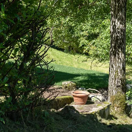 Nini's * Schignano (Como)